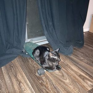 Meet your Posher, Jerry